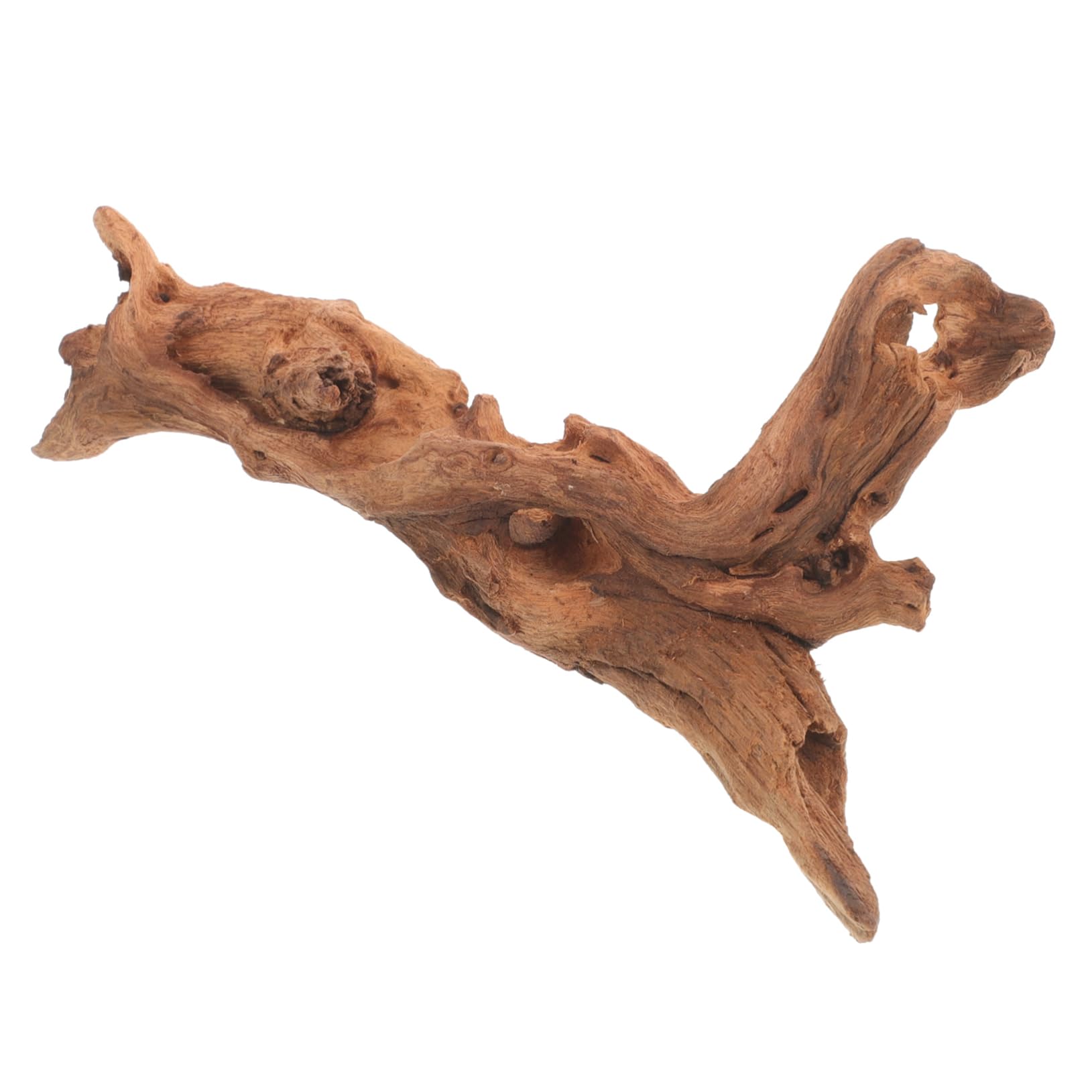 魚の骨っぽい枯木 魚の骨っぽい枯木